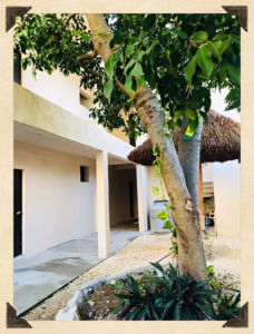 DEPARTAMENTOS EN VENTA PLAYA DEL CARMEN