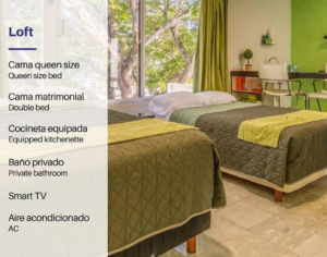 LOFT EN RENTA AMUEBLADO EN MIGUEL ALEMAN (GRD-1034)