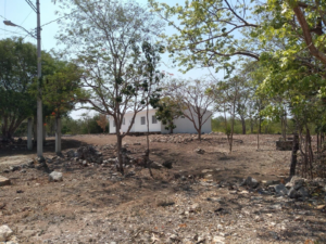 UMAN XCUCUL (GVC-2385)