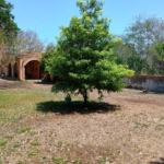 Quinta en Venta en Samahil - FINCA EN VENTA MERIDA SAMAHIL (AVC-2331)