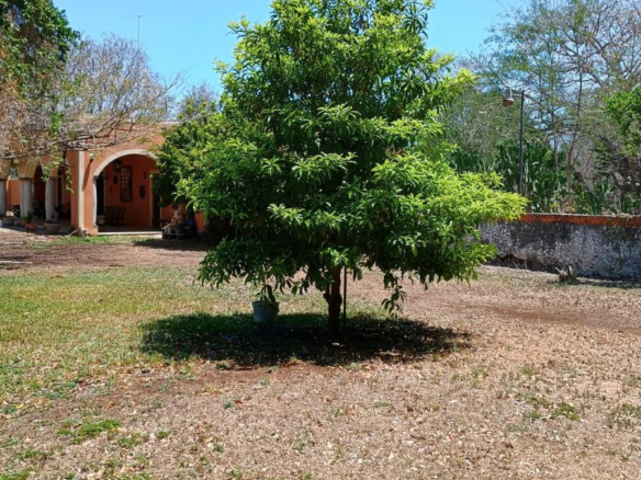 Quinta en Venta en Samahil - FINCA EN VENTA MERIDA SAMAHIL (AVC-2331)