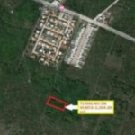 CHOLUL VILLAS CHOLUL TERRENO RUSTICO (AVT-1105)