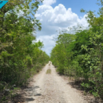 Terreno en Venta en Pueblo Kiktel - TERRENO EN VENTA MERIDA