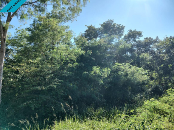 Terreno en Venta-Renta en Pueblo Muxupip - TERRENO EN VENTA MERIDA