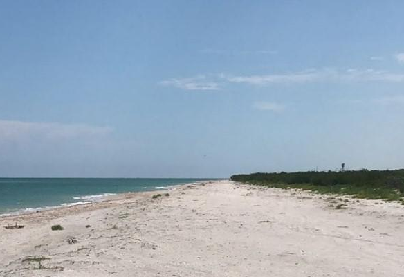 Terreno en Venta en Pueblo Celestun - TERRENO FRENTE A MAR EN VENTA MERIDA