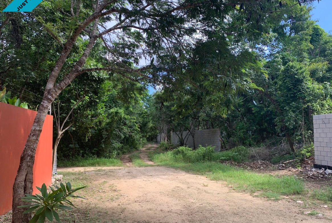 Terreno en Venta en Benito Juárez - TERRENO EN VENTA PUERTO MORELOS  (FVT-1212)