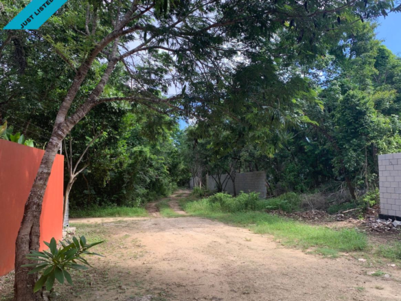 Terreno en Venta en Benito Juárez - TERRENO EN VENTA PUERTO MORELOS  (FVT-1212)