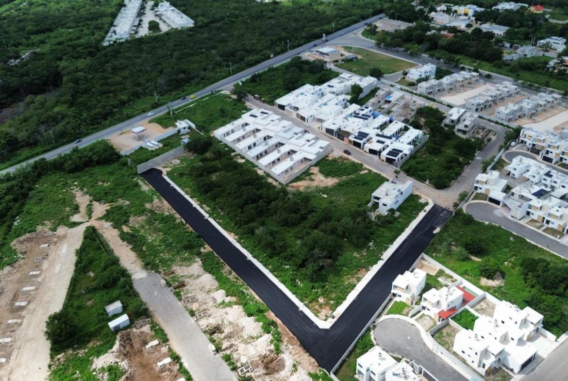 DZITYA HORIZONTE (GVT-1201)