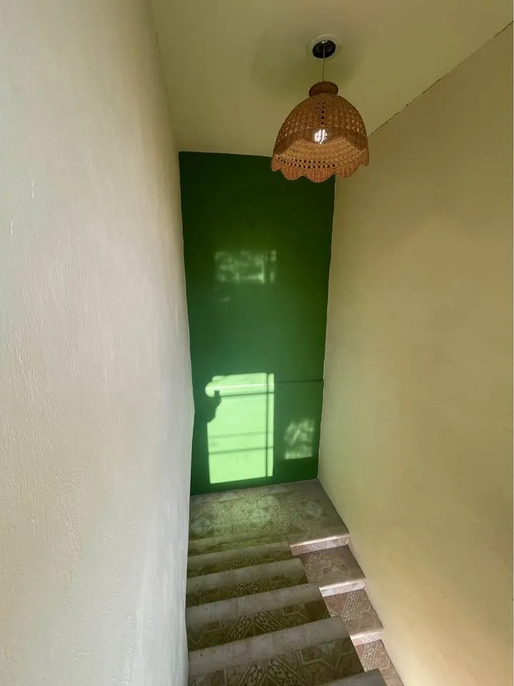 556097886_10239654394406018_6725532595263460420_n_resultado