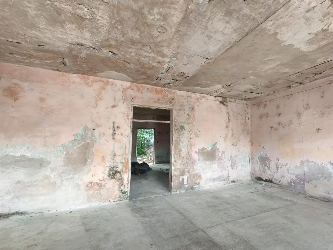 0320e5af-befa-4fb3-8374-af7249bc65a8_resultado