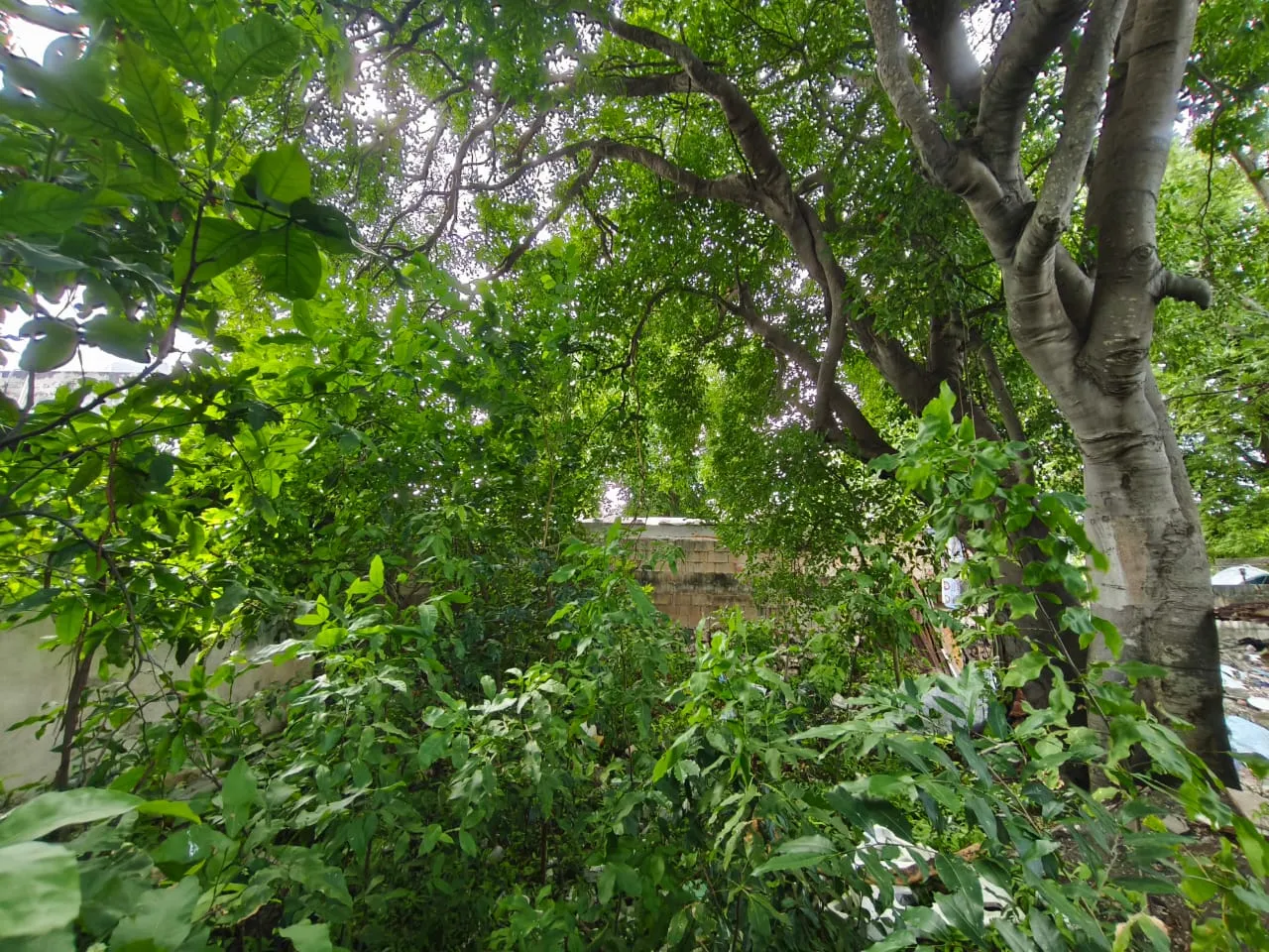 47324d7e-ef8d-4b31-864c-db5d3d691692_resultado